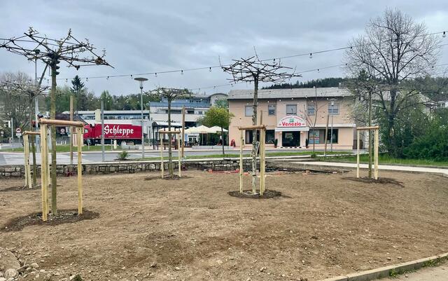 Natürliche Beschattung durch Bäume