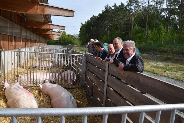 LH Hans Peter Doskozil (2.v.r.) und Bgm. Manfred Wagner (r.) sowie Vizebgm. Reinhard Kuktits (3.v.r.) waren im Bio-Schweinehof von Christoph Klein zu Gast. | Foto: Michael Strini