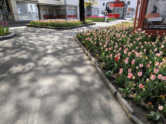 Ordentlich und sauber angelegt. Da geht man gerne entlang.