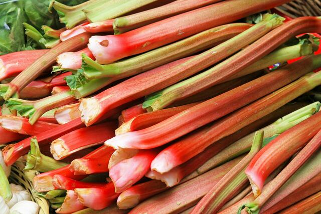 Es ist Zeit für Rhabarber! Alles wissenswerte Fakten zum beliebten Gemüse, findet ihr hier! | Foto: Canva