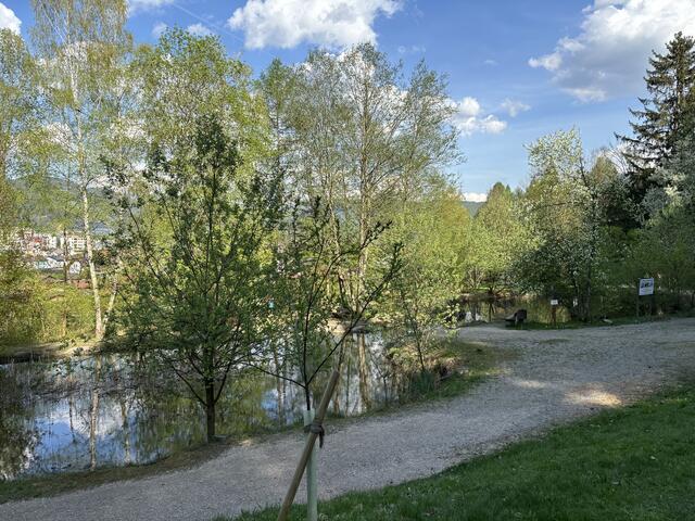 Das Biotop im Trofaiacher Kehrwald ist bei Spaziergängen beliebt.  | Foto: Laura Jung