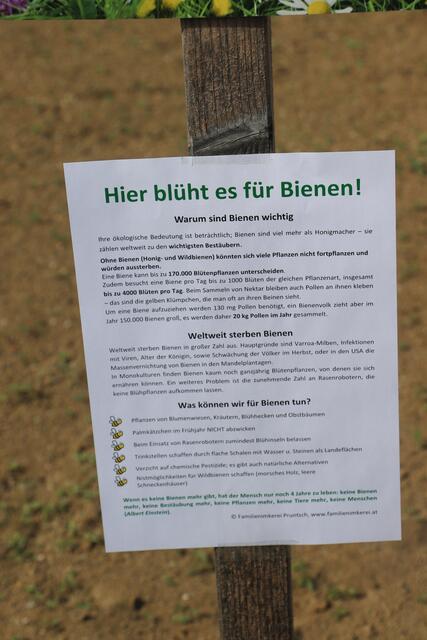 Foto: Edith Ertl