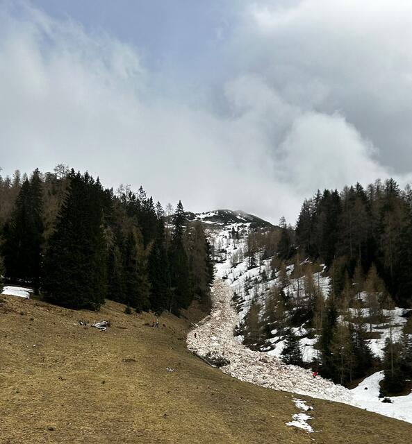 Eine Wandergruppe wurde diese Woche am Bärenkopf von einer Gleitschneelawine erfastt. | Foto: zoom.tirol