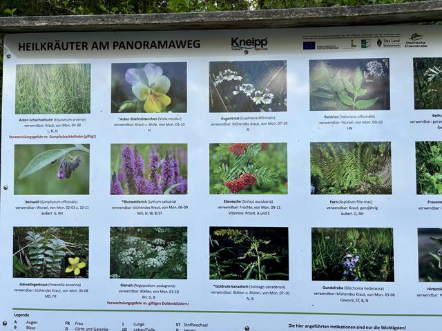 Tafeln informieren über Heilkräuter am Panoramaweg. | Foto: Laura Jung
