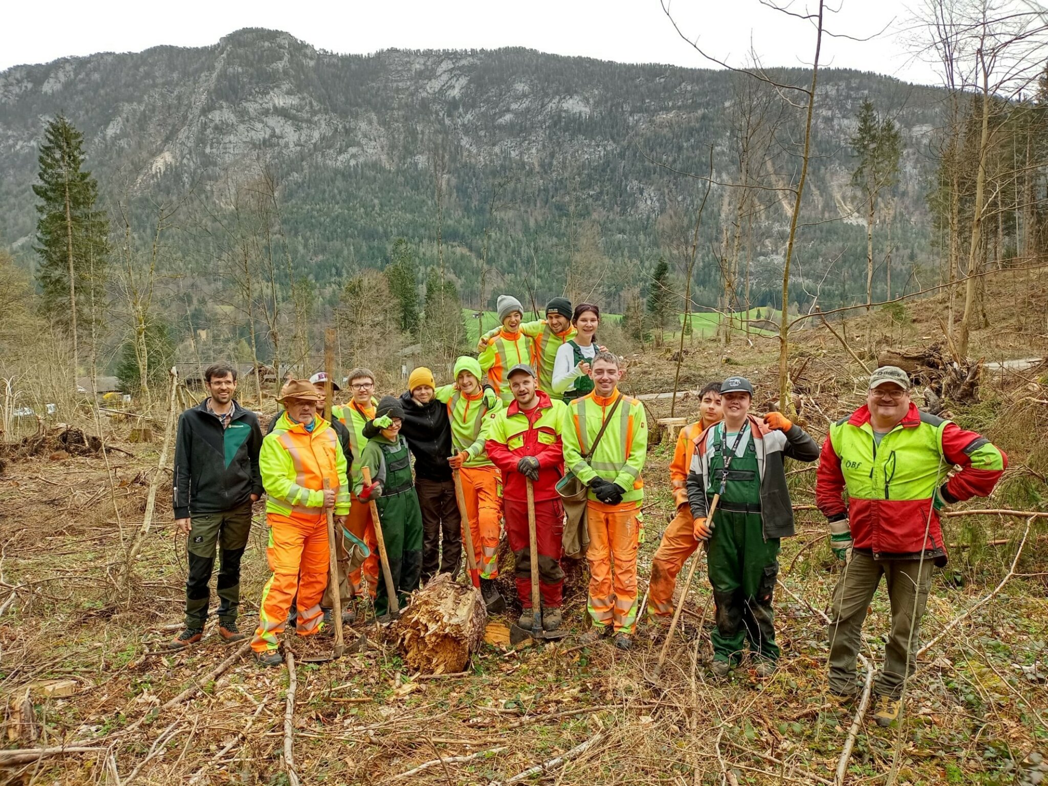 Aufforstung: Österreichische Bundesforste und Oberrain pflanzten Eichen ...