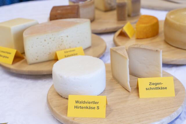 Foto: (c) hlwspittal 2024