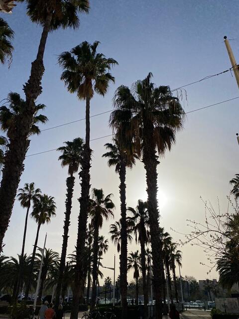 Foto: hlwspittal 2024 Schülerfotos