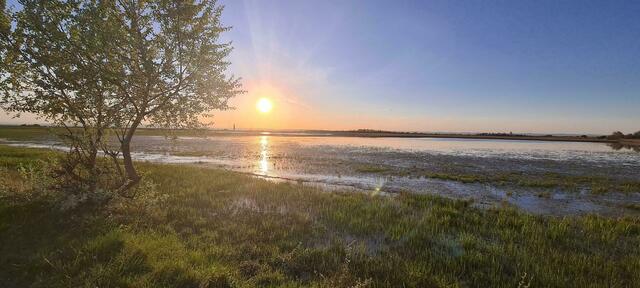 Sowohl die Lacken im Seewinkel als auch der Neusiedler See wurden durch die Niederschläge im Herbst und Winter gut gefüllt. | Foto: Hannes Santha