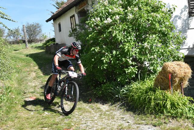 Foto: Michael Strini