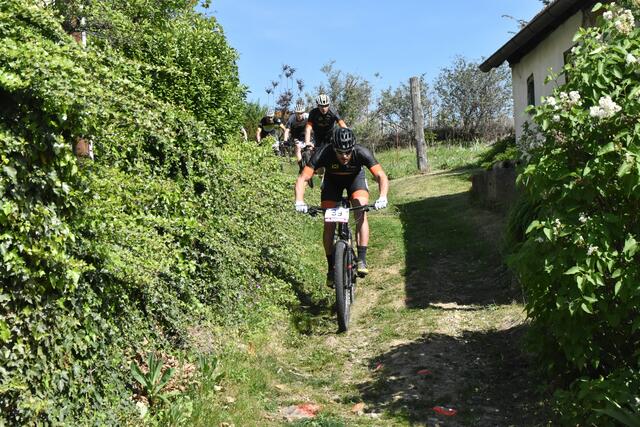Foto: Michael Strini