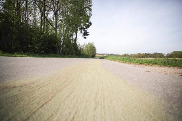 Foto: laumat/Christian Schürrer