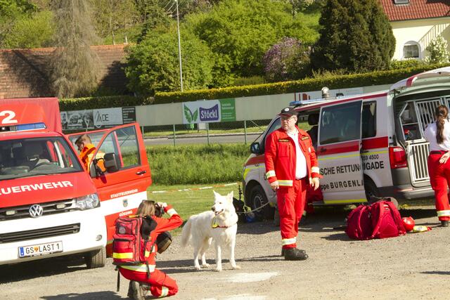 Hunde suchten vermisste Personen