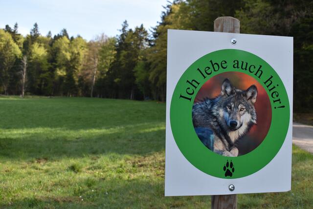 Braucht es künftig noch mehr Wolfstafeln als Warnung für Wanderer, Radfahrer und Touristen im Böhmerwald? | Foto: Karin Bayr