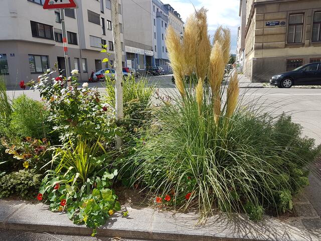Tipps und Tricks fürs Garteln in Ottakring erhalten Interessierte bei der Gebietsbetreuung Stadterneuerung.  | Foto: BV16