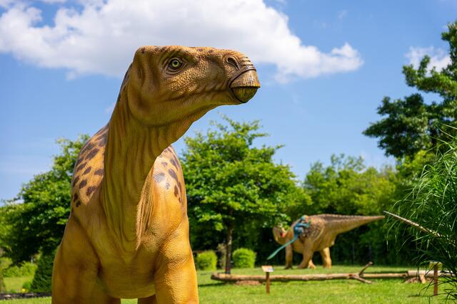 Lebensecht und nach dem Stand neuester wissenschaftlicher Erkenntnisse rekonstruierte Dinosaurier gewähren Einblicke in die längst vergangene Zeit der Urzeitechsen. | Foto: Visual Kings