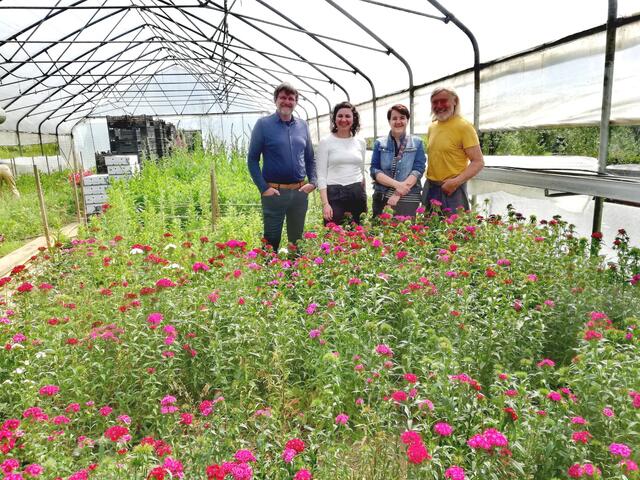 Foto: C: Grüne Wirtschaft