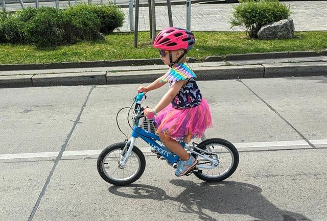 Foto: Radlobby Wolkersdorf
