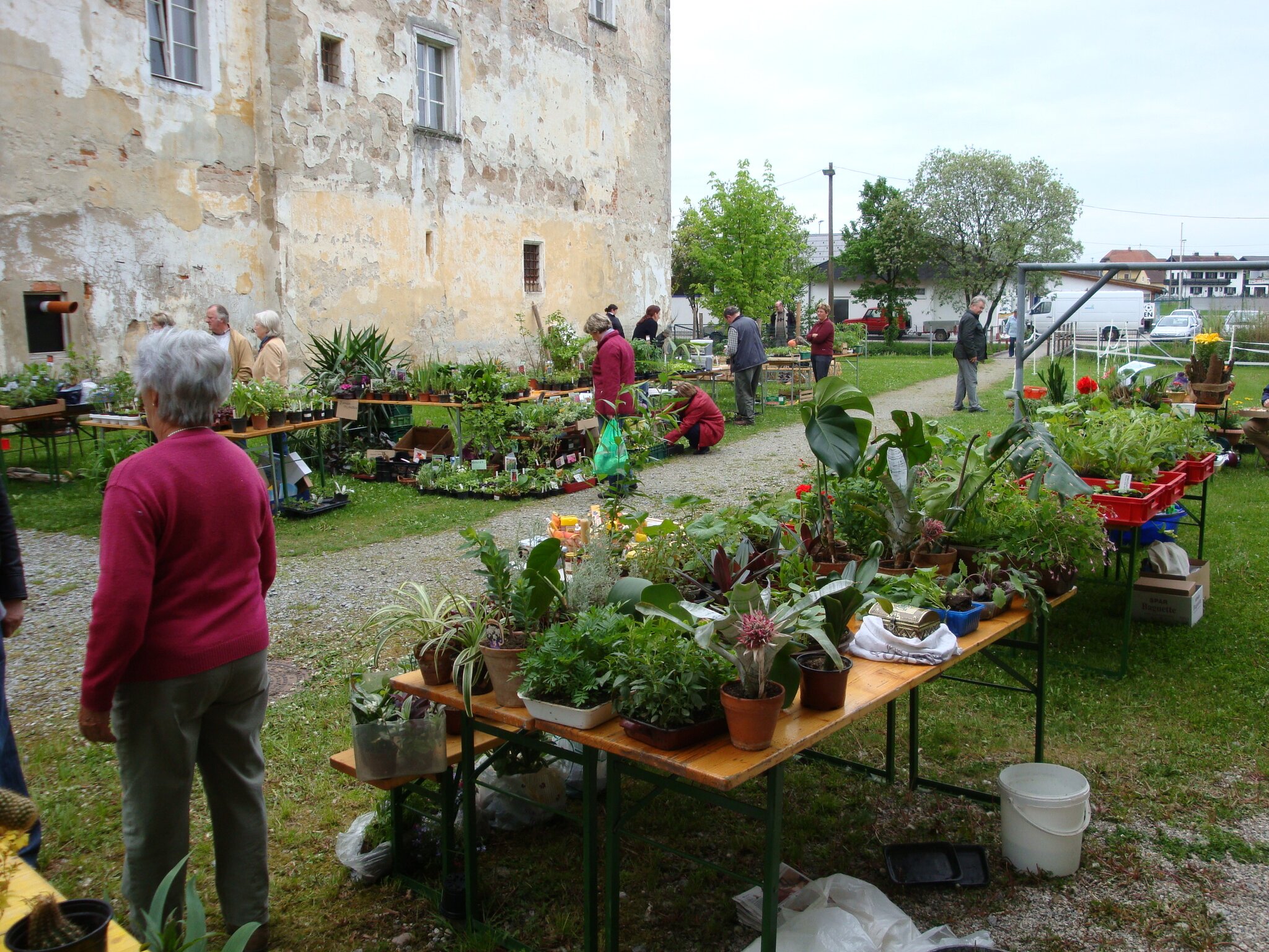 Pflanzenmarkt in Waizenkirchen, im Hof von Schloss Weidenholz