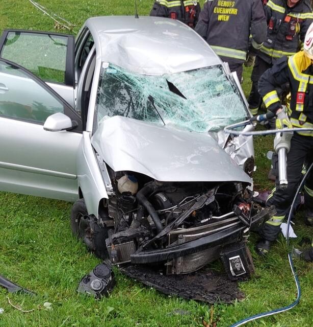 Der Aufprall soll dermaßen heftig gewesen sein, dass dabei die Fahrertüre abgerissen wurde. | Foto: Stadt Wien | Feuerwehr