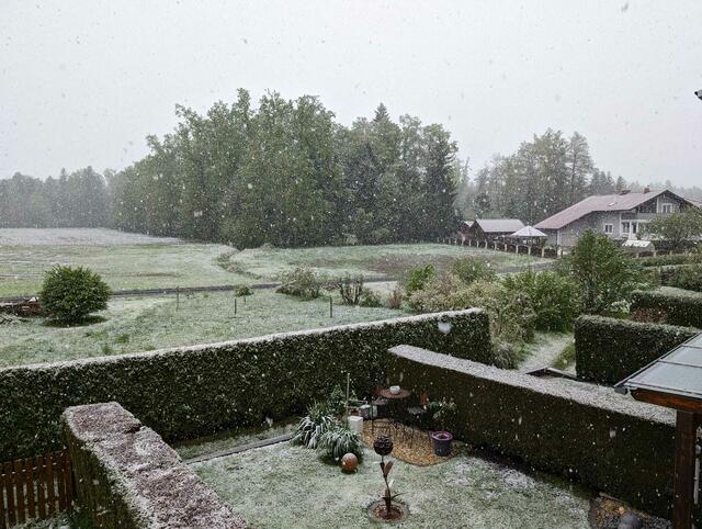 Leichter Schneefall in St. Peter im Sulmtal. | Foto: Regionalmedien