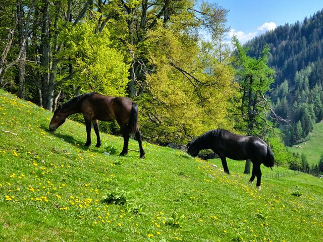 Foto: Andreas Steininger