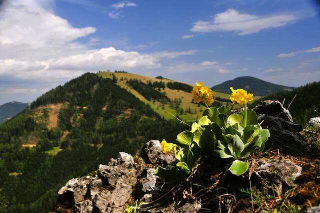 Foto: Andreas Steininger