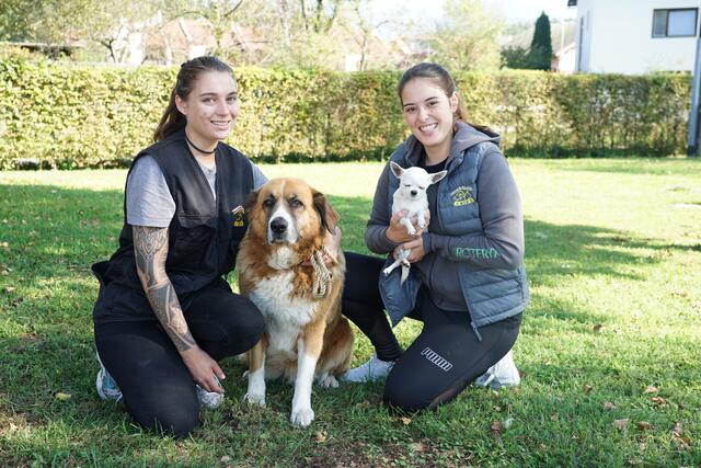 Tierheimhelferin Nathalie (links) und Diplom-Tierpflegerin Lara Montiel (rechts) kümmern sich liebevoll um die untergebrachten Hunde, Katzen und Co. | Foto: MeinBezirk.at