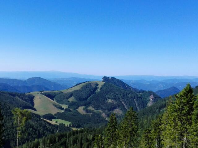 Foto: Andreas Steininger