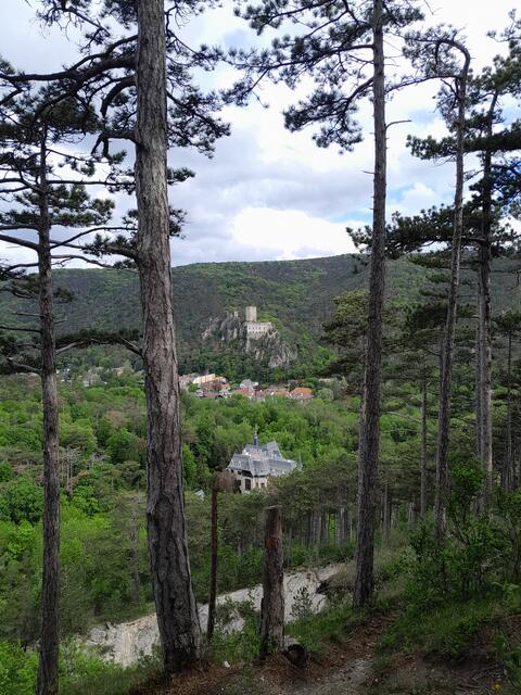 Blick auf Rauhenstein