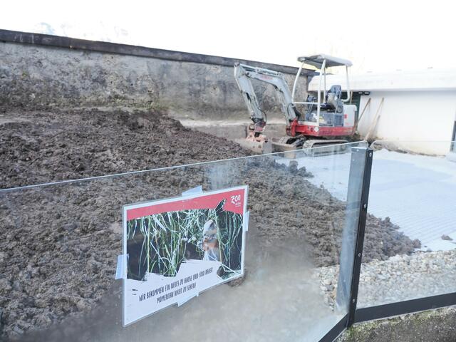 Seit März hatte der zooeigene Bautrupp das Substrat auf der Anlage komplett abgetragen, den Untergrund durch eine neues Vlies und Gitter stabilisiert und anschließend wieder aufgeschüttet und neu strukturiert.  | Foto: Zoo Salzburg/Angelika Köppl