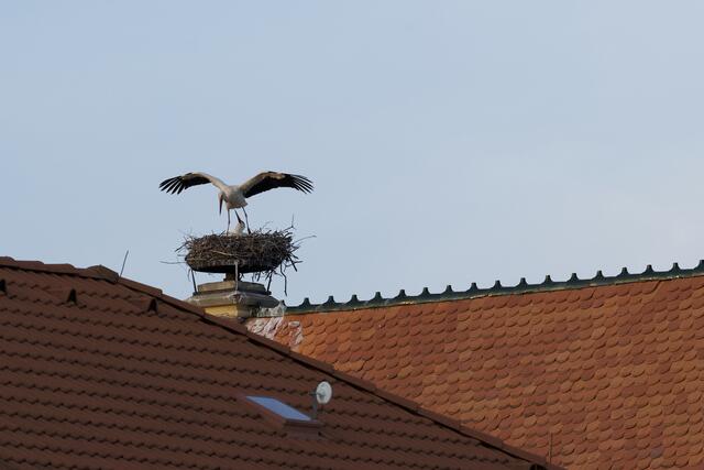 Das Nest in Breitenau. | Foto: Santrucek