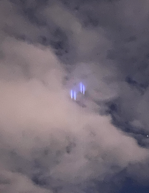 Foto: Screenshot Pularez/Reddit