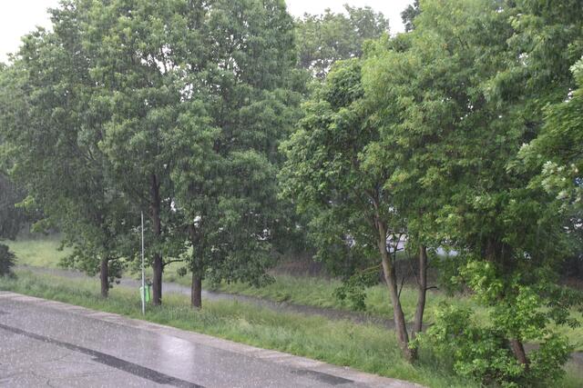 Das Wetter bleibt meist trüb und regnerisch. | Foto: Michael Strini