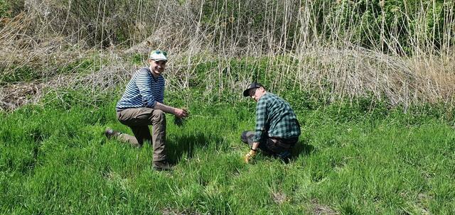 Die Alten Fischaschlingen zwischen Gramatneusiedl und Ebergassing sind von hohem Naturschutzwert.  | Foto: Margit Gross