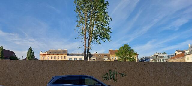 Blick über den Zaun in der Antonigasse  | Foto: Zuzana Kobesova 2024