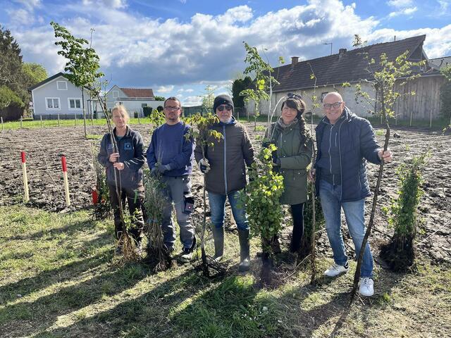 Erste Bäume gepflanzt: Natascha Hajszan, Manuel Molnar, Andrzej Krasnowiecki, Ina Gangoly und Bürgermeister Georg Rosner | Foto: Stadtgemeinde Oberwart