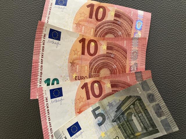 Sowohl die ÖVP als auch die Grünen haben sich darauf geeinigt, ein einheitliches, modernes und durchlässiges Dienstrecht für alle neuen Bediensteten zu schaffen, wobei die Gehaltskurve abgeflacht wird. | Foto: Foto: Karl Ettinger