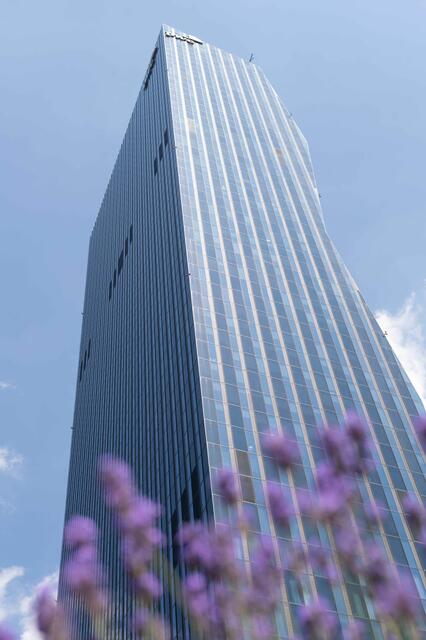 Archiv | Foto: Nick Gleissner