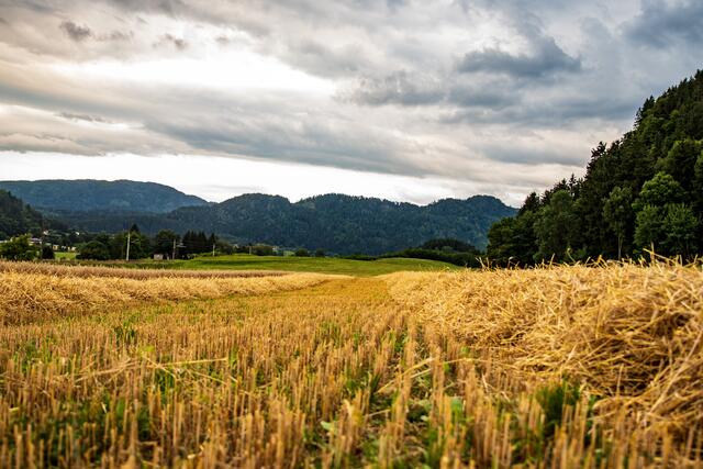 Österreich ist mit seinem kleinstrukturieren Agrarmodell Vorbild in ganz Europa. | Foto: Pixabay