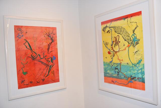 Galerie Eva Maria Manner in der Schiffmeisterei in Grein. Schiffmeisterei &amp; Süße Kunstwerkstatt in Grein eröffnet.  | Foto: Robert Zinterhof