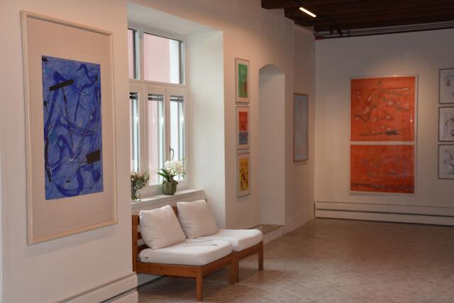 Galerie Eva Maria Manner in der Schiffmeisterei in Grein. Schiffmeisterei &amp; Süße Kunstwerkstatt in Grein eröffnet.  | Foto: Robert Zinterhof
