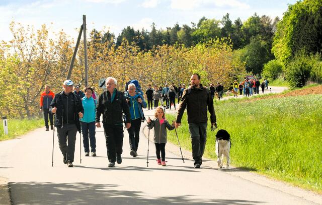 Über 2000 begeisterte Wanderfreunde kamen zum Apfelblütenwandertag nach Prebuch 