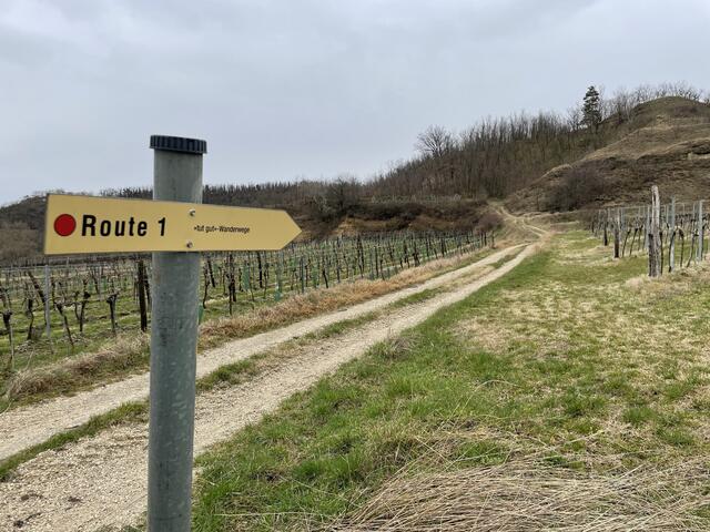 Wandern tut der Gesundheit und der Seele gut. | Foto: Victoria Edlinger