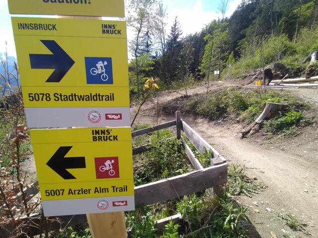 GR Julia Seidl hat im Gemeinderat eine Anfrage gestellt. | Foto: IKM