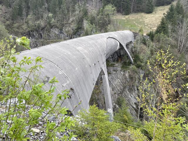 Diese Brücke ist sehr speziell. Autofahrer nehmen sie als Tunnel wahr. | Foto: Reichel