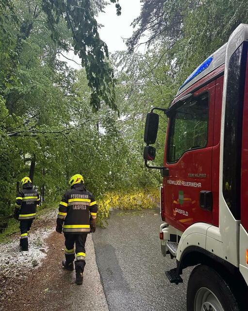 Baum über Straße auch in der Gemeinde Krottendorf-Gaisfeld. Die FF Gaisfeld räumte den Weg frei. | Foto: FF Gaisfeld