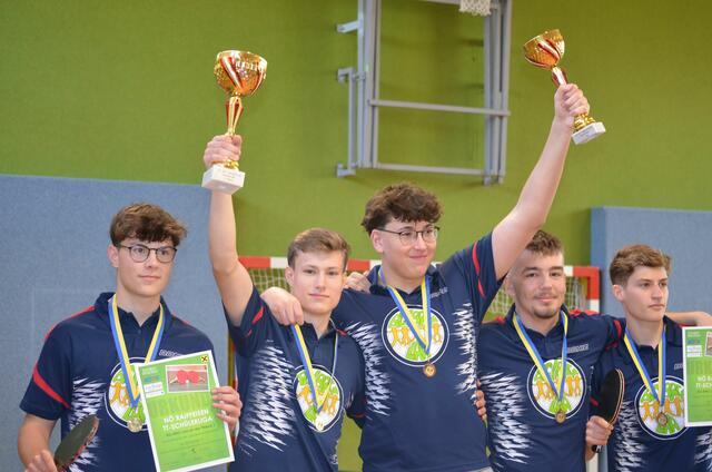 Die Teams des Gymnasiums Laa sicherten sich Gold und Bronze bei dieser Landesmeisterschaft. | Foto: Reinhard Krames