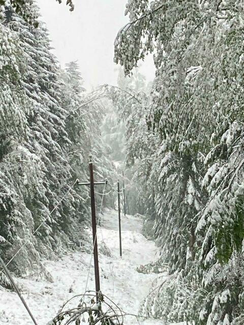 Auch die Monteure der Stadtwerke Köflach und Voitsberg sowie der Energie Steiermark hatten Hochbetrieb. | Foto: Energie Steiermark