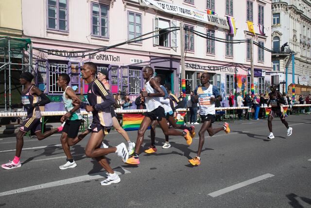 Foto: Türkis Rosa Lila Villa TIPP