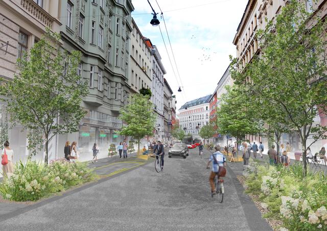 Foto: Grüne Margareten